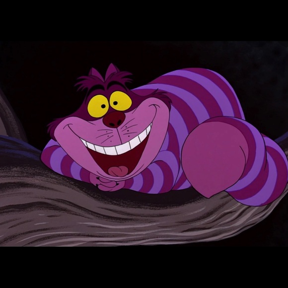 Cheshire Cat painted 🎨 clogs - Picture 5 of 8